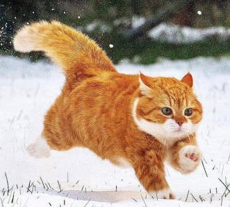 亲切第一张蕾C1第二期+色彩美学课程(lightroom)