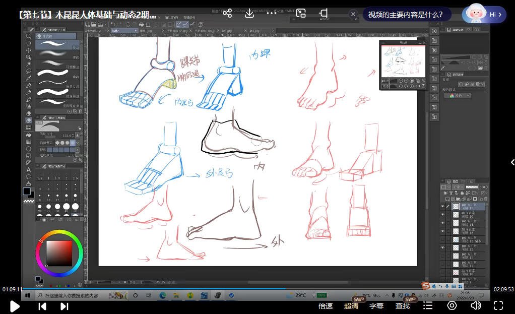 木昆昆人体基础与动态第2期