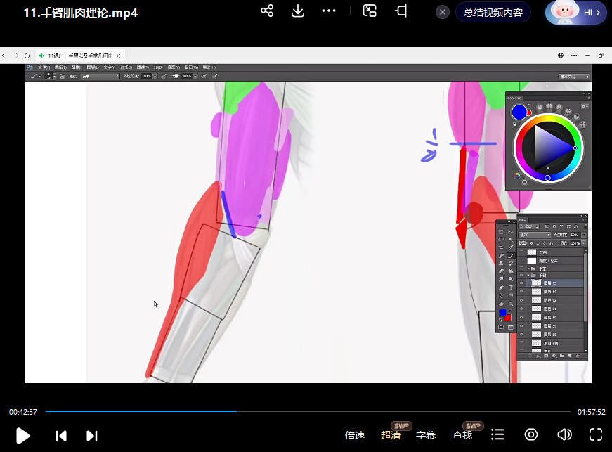 大木人体结构基础第11期