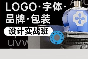 卢帅logo字体品牌包装设计实战班第5期  第1张